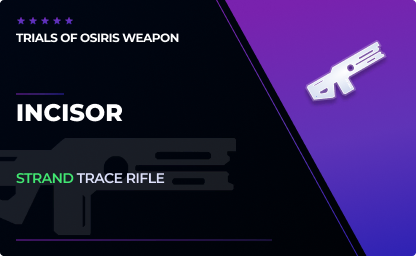 Incisor - Trace Rifle in Destiny 2