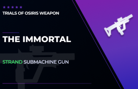 The Immortal - Submachine Gun in Destiny 2