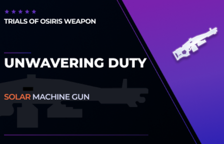 UNWAVERING DUTY - MACHINE GUN in Destiny 2