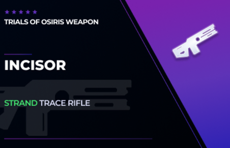 Incisor - Trace Rifle in Destiny 2