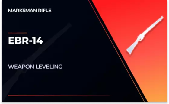 EBR-14 Leveling in CoD Modern Warfare 2