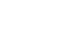 Firebird Mount in Final Fantasy XIV