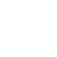 Soloist Ghost Shell in Destiny 2