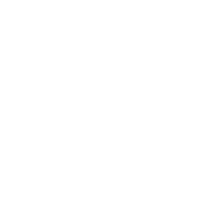 Renegades Campaign Boost - 15% Off in Destiny 2