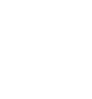 Paladin Mounts in WoW Classic Fresh TBC