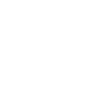 Badge of the Swarmguard in WoW Classic TBC