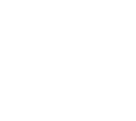 Diamond Gwiber Mount in Final Fantasy XIV