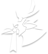 Spirit of Akari Mount in Fellowship