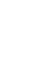 Waveform in The Division 2