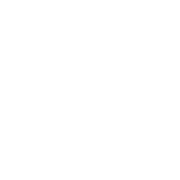 x20 Gauntlet Onslaught Runs Bundle - 25% Off in Destiny Rising