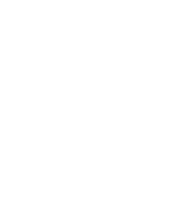 Distortion's Runs in Destiny 2