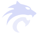 Void-Crystal Panther in WoW The War Within