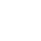 Last Guardian Standing - Competitive Emblem in Destiny 2